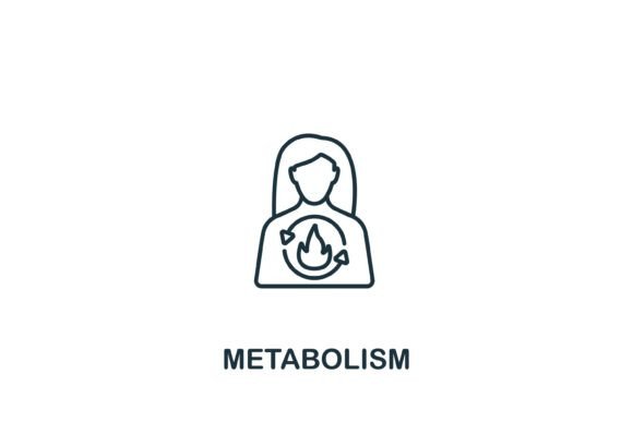 Metabolism Icon: Graphics and Icons for Branding